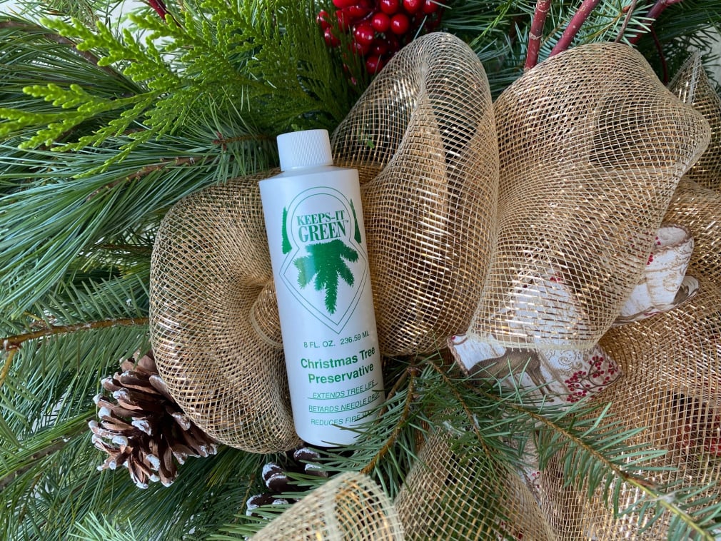 Fresh Christmas Trees